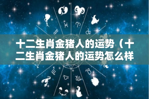 十二生肖金猪人的运势（十二生肖金猪人的运势怎么样）
