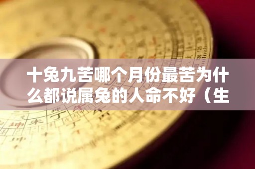 十兔九苦哪个月份最苦为什么都说属兔的人命不好（生肖兔哪个月份最苦）