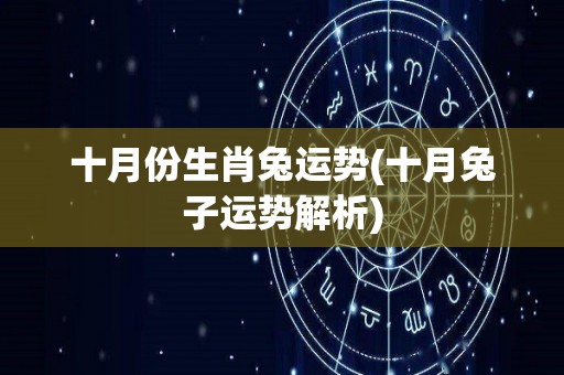 十月份生肖兔运势(十月兔子运势解析)