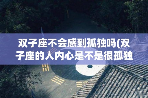 双子座不会感到孤独吗(双子座的人内心是不是很孤独)