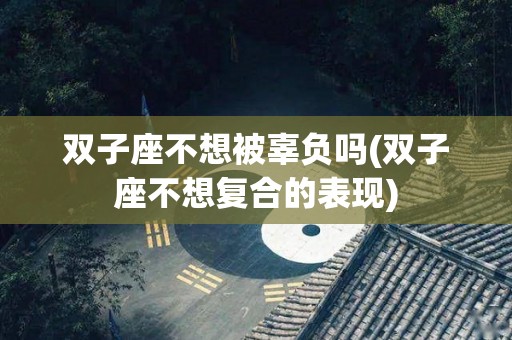 双子座不想被辜负吗(双子座不想复合的表现)