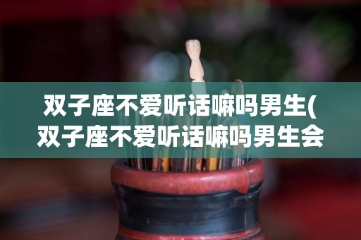 双子座不爱听话嘛吗男生(双子座不爱听话嘛吗男生会喜欢吗)