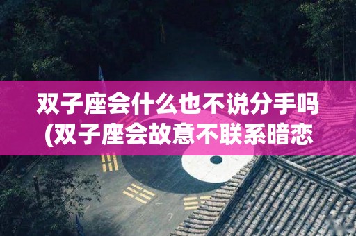 双子座会什么也不说分手吗(双子座会故意不联系暗恋的人吗)