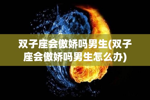 双子座会傲娇吗男生(双子座会傲娇吗男生怎么办)