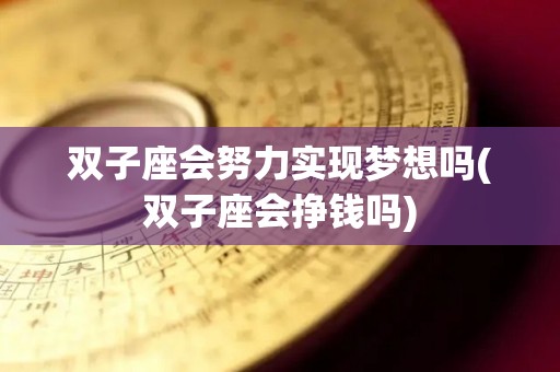 双子座会努力实现梦想吗(双子座会挣钱吗)