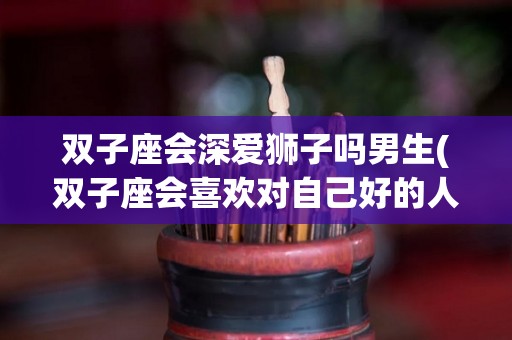 双子座会深爱狮子吗男生(双子座会喜欢对自己好的人吗)