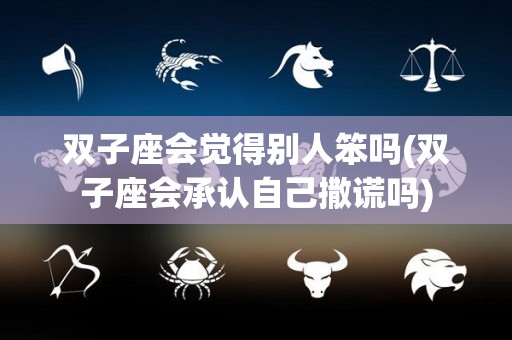 双子座会觉得别人笨吗(双子座会承认自己撒谎吗)