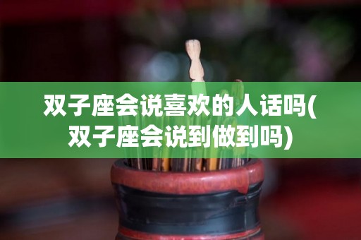 双子座会说喜欢的人话吗(双子座会说到做到吗)