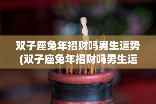 双子座兔年招财吗男生运势(双子座兔年招财吗男生运势如何)
