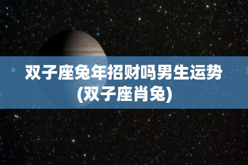 双子座兔年招财吗男生运势(双子座肖兔)