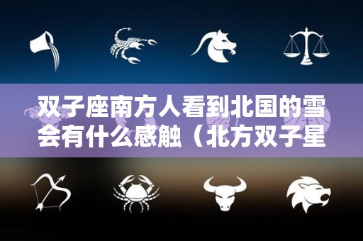 双子座南方人看到北国的雪会有什么感触（北方双子星）