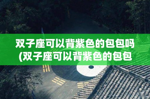 双子座可以背紫色的包包吗(双子座可以背紫色的包包吗图片)