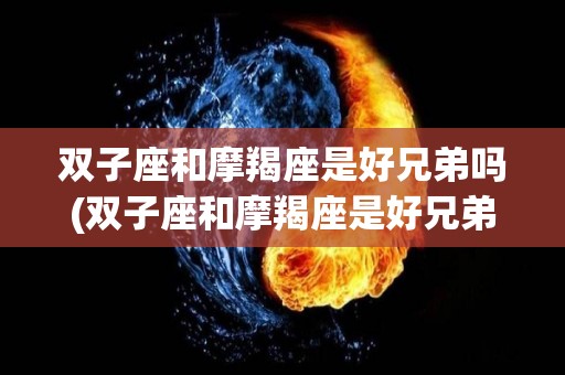 双子座和摩羯座是好兄弟吗(双子座和摩羯座是好兄弟吗知乎)