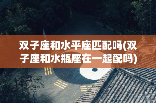 双子座和水平座匹配吗(双子座和水瓶座在一起配吗)