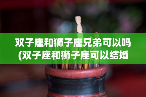 双子座和狮子座兄弟可以吗(双子座和狮子座可以结婚吗)