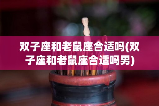 双子座和老鼠座合适吗(双子座和老鼠座合适吗男)