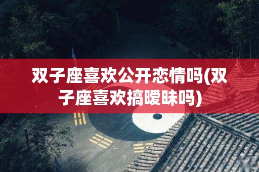 双子座喜欢公开恋情吗(双子座喜欢搞暧昧吗)