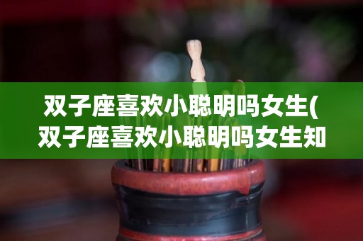 双子座喜欢小聪明吗女生(双子座喜欢小聪明吗女生知乎)