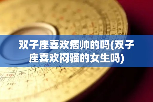 双子座喜欢痞帅的吗(双子座喜欢闷骚的女生吗)