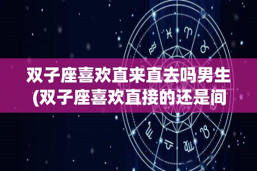 双子座喜欢直来直去吗男生(双子座喜欢直接的还是间接的)