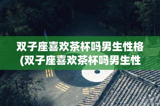 双子座喜欢茶杯吗男生性格(双子座喜欢茶杯吗男生性格特点)