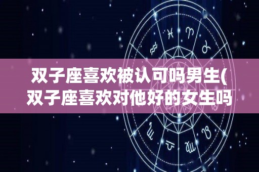 双子座喜欢被认可吗男生(双子座喜欢对他好的女生吗)