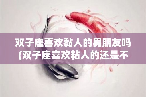 双子座喜欢黏人的男朋友吗(双子座喜欢粘人的还是不粘人的)