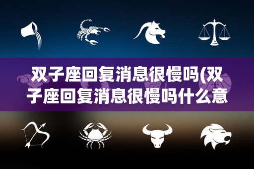 双子座回复消息很慢吗(双子座回复消息很慢吗什么意思)