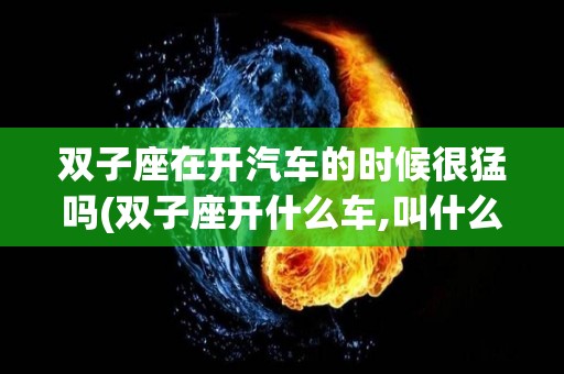 双子座在开汽车的时候很猛吗(双子座开什么车,叫什么车)