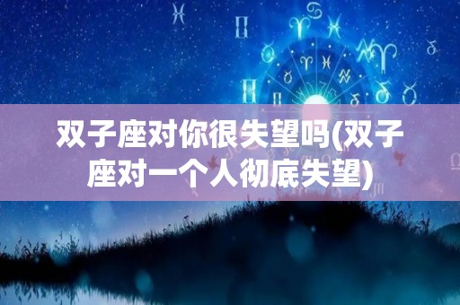 双子座对你很失望吗(双子座对一个人彻底失望)