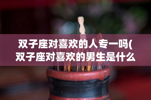 双子座对喜欢的人专一吗(双子座对喜欢的男生是什么样的?)