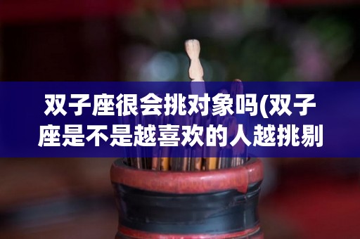 双子座很会挑对象吗(双子座是不是越喜欢的人越挑剔)