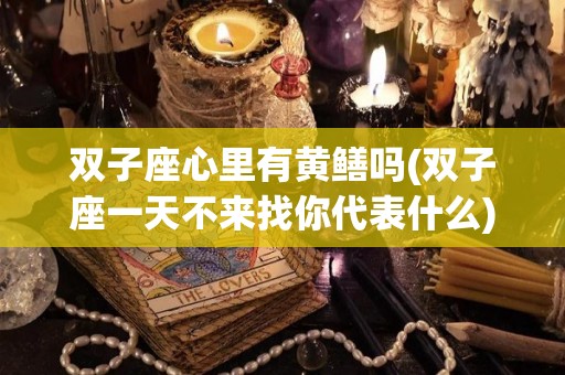 双子座心里有黄鳝吗(双子座一天不来找你代表什么)