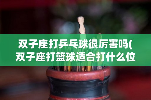双子座打乒乓球很厉害吗(双子座打篮球适合打什么位置)