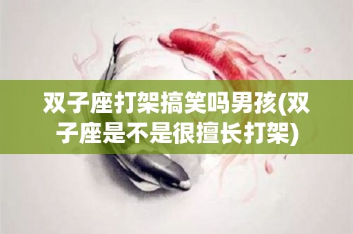 双子座打架搞笑吗男孩(双子座是不是很擅长打架)