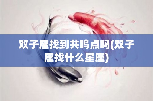 双子座找到共鸣点吗(双子座找什么星座)