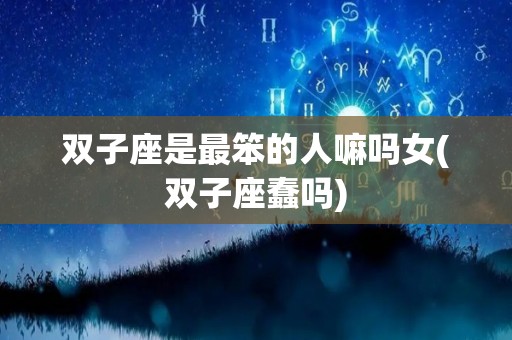 双子座是最笨的人嘛吗女(双子座蠢吗)