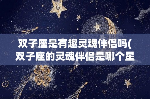 双子座是有趣灵魂伴侣吗(双子座的灵魂伴侣是哪个星座)