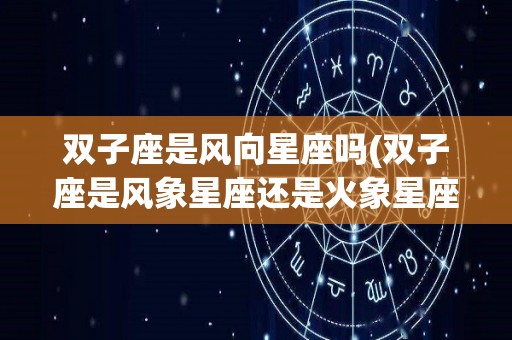 双子座是风向星座吗(双子座是风象星座还是火象星座)