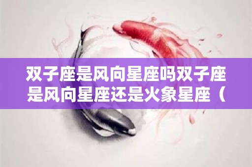 双子座是风向星座吗双子座是风向星座还是火象星座（双子是风向星座?）