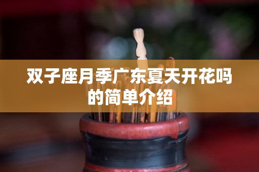 双子座月季广东夏天开花吗的简单介绍