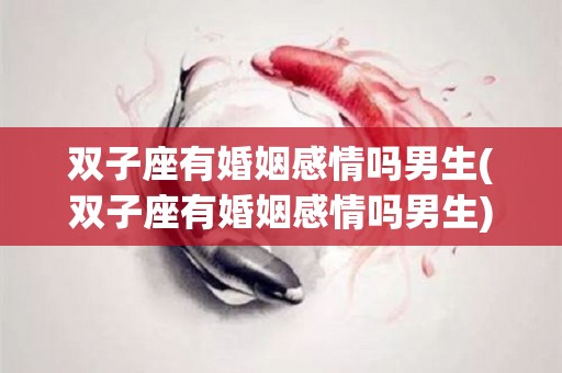 双子座有婚姻感情吗男生(双子座有婚姻感情吗男生)