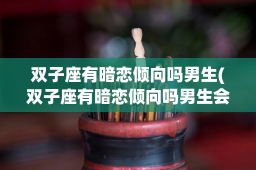 双子座有暗恋倾向吗男生(双子座有暗恋倾向吗男生会喜欢吗)