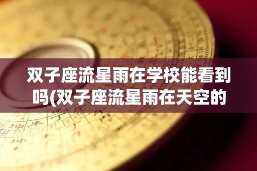 双子座流星雨在学校能看到吗(双子座流星雨在天空的哪个位置)