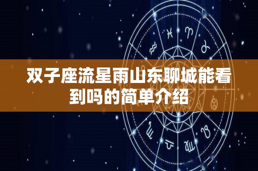 双子座流星雨山东聊城能看到吗的简单介绍