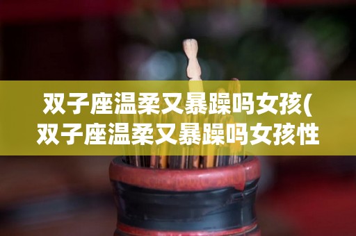 双子座温柔又暴躁吗女孩(双子座温柔又暴躁吗女孩性格)