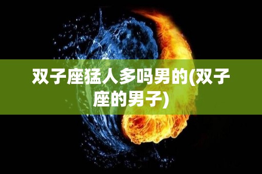 双子座猛人多吗男的(双子座的男子)