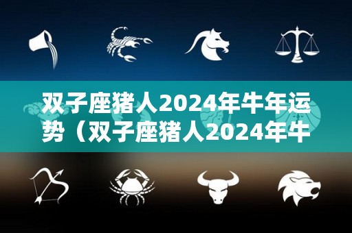 双子座猪人2024年牛年运势（双子座猪人2024年牛年运势怎么样）