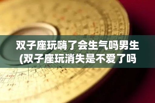 双子座玩嗨了会生气吗男生(双子座玩消失是不爱了吗)