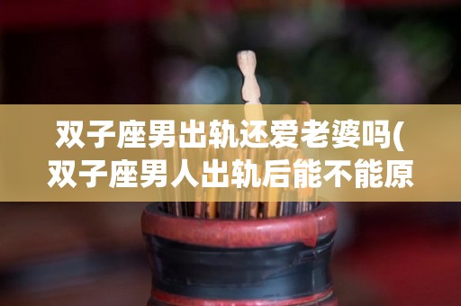 双子座男出轨还爱老婆吗(双子座男人出轨后能不能原谅他)